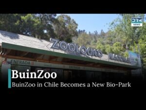 entrada principal de buin zoo concurrida