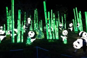 festival de luces la serena noche iluminada