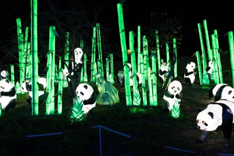 festival de luces la serena noche iluminada