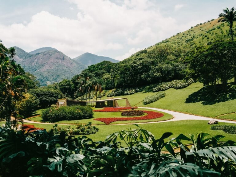 paisaje brasileno con cuatro estaciones diferenciadas