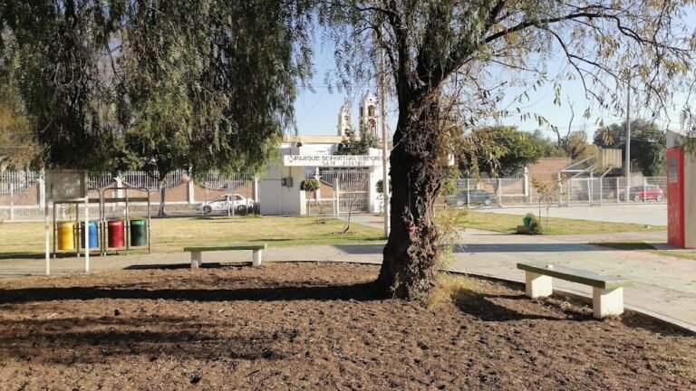 Qué actividades y servicios ofrece el Parque San Juan Los Héroes 2 parque san juan los heroes arboles ninos jugando