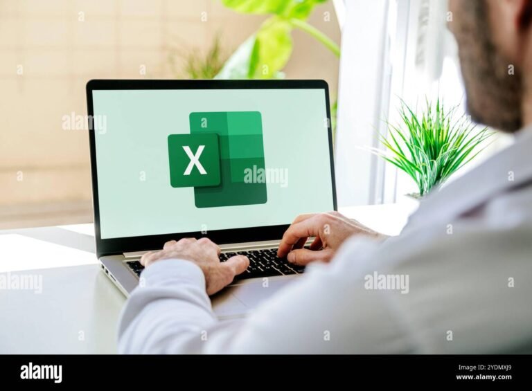 persona trabajando en laptop con excel abierto