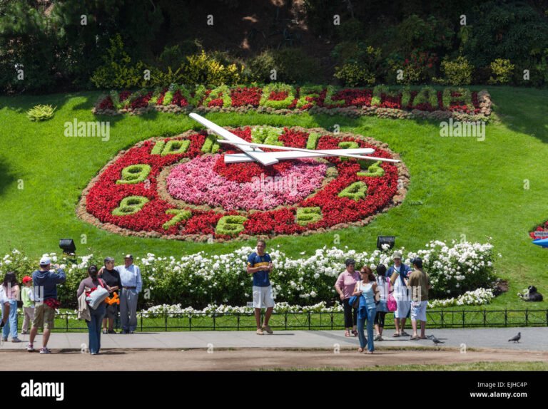 playa y reloj de flores en vina del mar