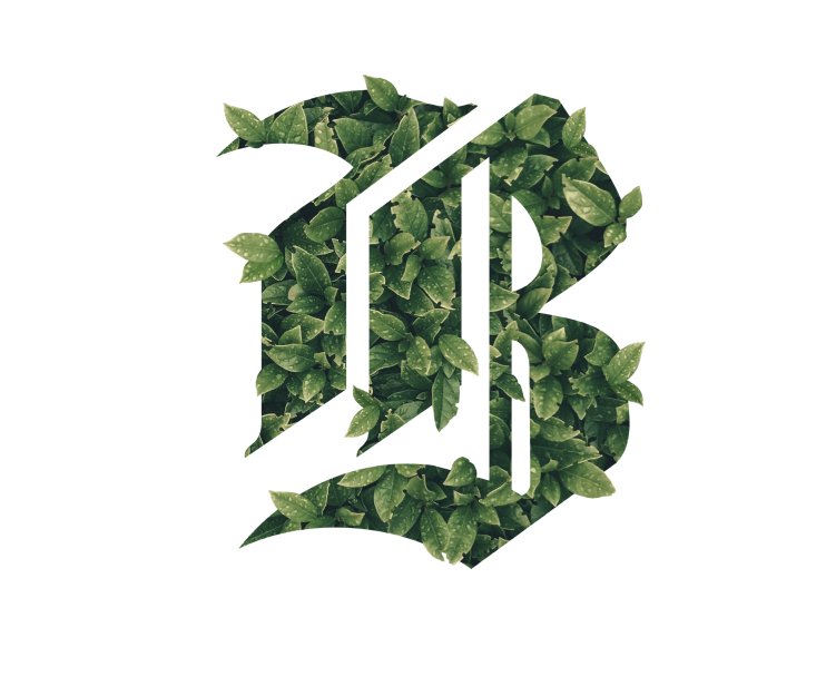 tarjeta bancaria banco chile y logo adidas