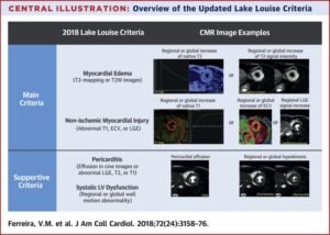 tarjeta cmr y manos contando puntos visibles