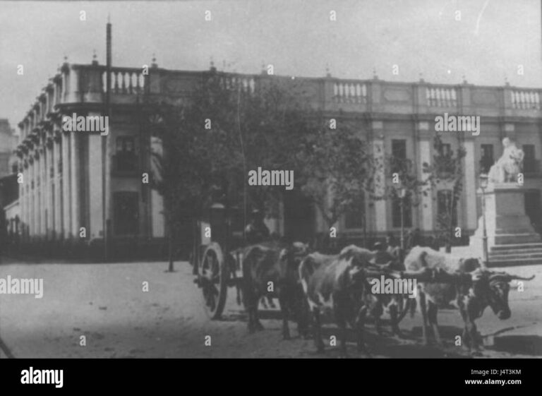 tribunal judicial chileno con documentos legales