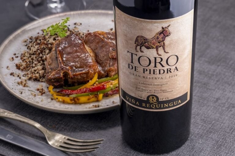 vinedo toro de piedra atardecer chile